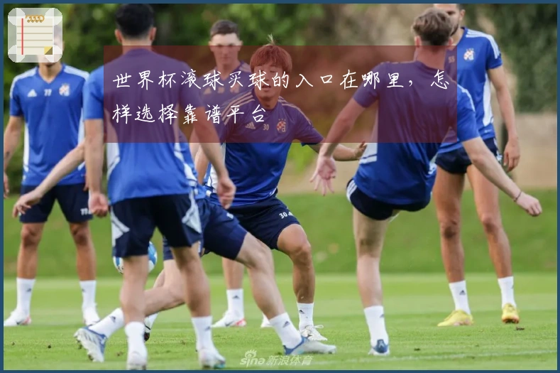 世界杯滚球买球的入口在哪里，怎样选择靠谱平台