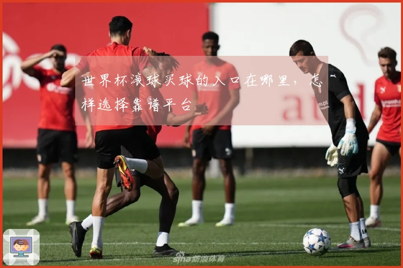 世界杯滚球买球的入口在哪里，怎样选择靠谱平台