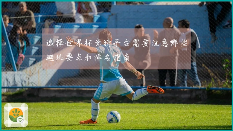 选择世界杯竞猜平台需要注意哪些避坑要点和排名指南